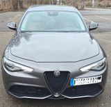 Alfa Romeo Giulia 2.0 Turbo 16V 206 kW AT8-Q4 Veloce Veloce - Alfa Romeo Giulia mit Benzin-Antrieb: Automatik