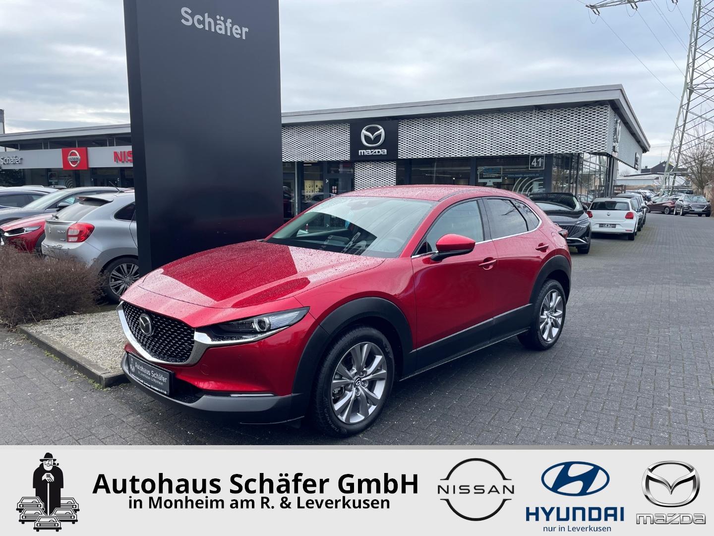Mazda CX-30 Selection Navi Bose 360 Kamera LED Blendfr