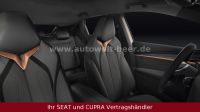 Cupra Tavascan - Vorschau Bild 5