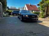 Audi A8 D3 3,7 V8 BFL - Audi A8 mit Benzin-Antrieb: Limousine, 3.7