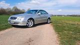 Mercedes-Benz Mercedes Benz CLK 240 - Mercedes-Benz CLK 240 aus 2004