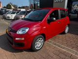 Fiat Panda 1.0 GSE Hybrid DAB KLIMA VIRTUEL. COCKPIT - Fiat Panda Gebrauchtwagen in Augsburg