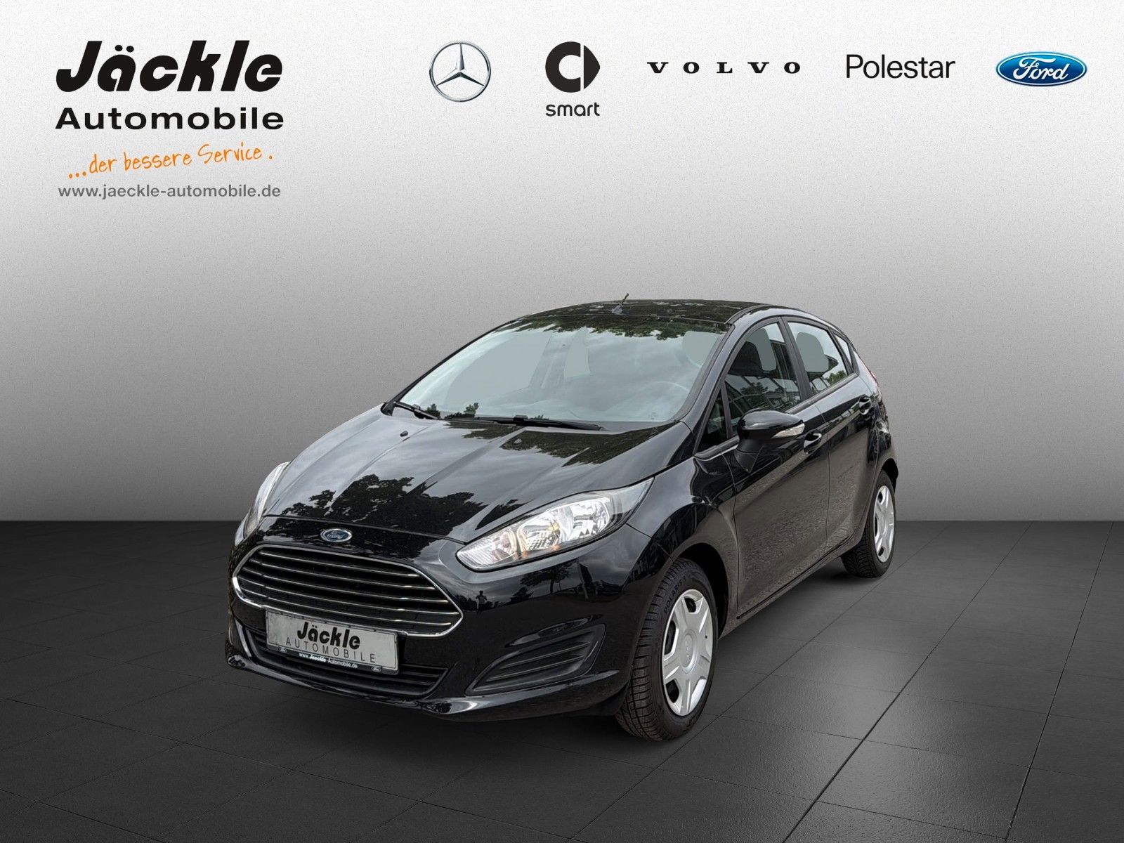 Fahrzeugabbildung Ford Fiesta Sync Edition, WINTER-PAKET