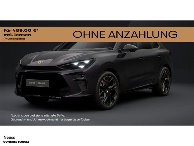 Terramar VZ 2.0 TSI 265 PS DSG 4Drive AHK PANO N