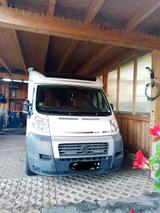 Fiat Ducato Knaus - Integrierte Wohnmobile & Wohnwagen