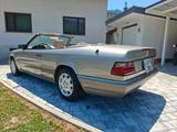 Mercedes-Benz E 320 E 320 - Mercedes-Benz E 320: Cabrio