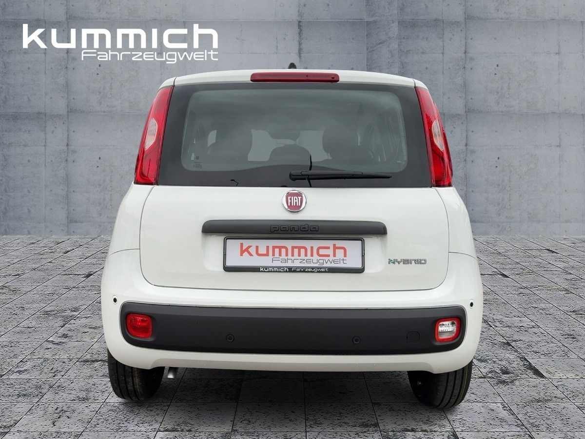Fiat Panda - Bild 5