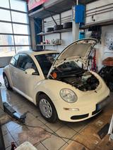 Volkswagen Wv Beetle 1.4 - gebrauchte VW Beetle aus dem Jahr 2006