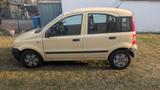 Fiat Panda 2010-108.000 km-4-Türer-40 kw-sparsam - Fiat Panda: 4.4