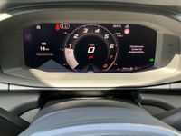 Cupra Terramar - Vorschau Bild 16