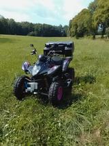 Kymco Maxxer 300 - KYMCO QUAD MAXXER 300