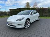 Tesla Model 3 Performance SCHWARZER HIMMEL - Tesla Model 3