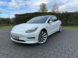 Tesla Model 3 Performance SCHWARZER HIMMEL - Tesla Model 3