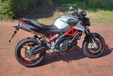 Aprilia Shiver 900 - APRILIA SHIVER 900