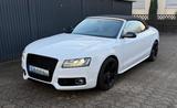 Audi S5 3.0 TFSI S tronic quattro Cabriolet - - Audi S5 in Duisburg
