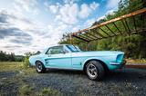 Ford Mustang - aus 1967: Coupe