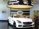 Mercedes-Benz SLK 250 CDI BLE AMG Sportf.Autom.Leder PDC Temp. - Mercedes-Benz SLK 250 Gebrauchtwagen