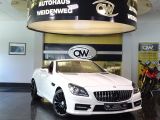 Mercedes-Benz SLK 250 CDI BLE AMG Sportf.Autom.Leder PDC Temp. - Mercedes-Benz: Slk Sport