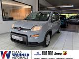Fiat Panda Hybrid 1.0 GSE DAB Klima BT teilb.Rücksb e - Fiat Panda Gebrauchtwagen in Hamburg