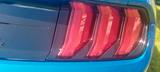 Ford Mustang 2.3 EcoBoost - viele Extras, wenig Km - Ford Mustang Gebrauchtwagen in Braunschweig