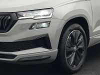 Skoda Karoq - Vorschau Bild 22
