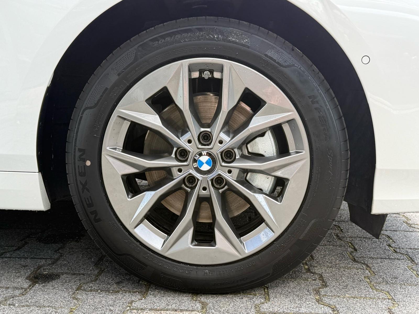 BMW 120d //DrivingAssistant Kamera Adapt.LED