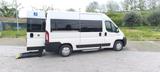Fiat Ducato 9 Posti Trasporto Disabili - gebrauchte Fiat Ducato aus dem Jahr 2010