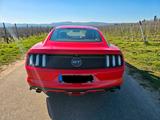 Ford Mustang 5.0 Ti-VCT V8 GT  - gebrauchte Ford Mustang aus dem Jahr 2015
