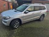 Mercedes-Benz GL 350 BlueTEC 4MATIC - - Mercedes-Benz GL 350 mit Diesel-Antrieb: Silber