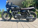 Triumph Bonneville T100 Black - Angebote
