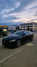 Jaguar JAGUAR XE P300 R-Dynamic - Jaguar: X300