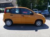 Fiat Panda EASY 1.2 69PS KLIMA RADIO SERVO ALLWETTER - gebrauchte Fiat Panda aus dem Jahr 2019