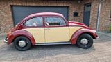 Volkswagen Käfer 1200 TÜV 06/2026