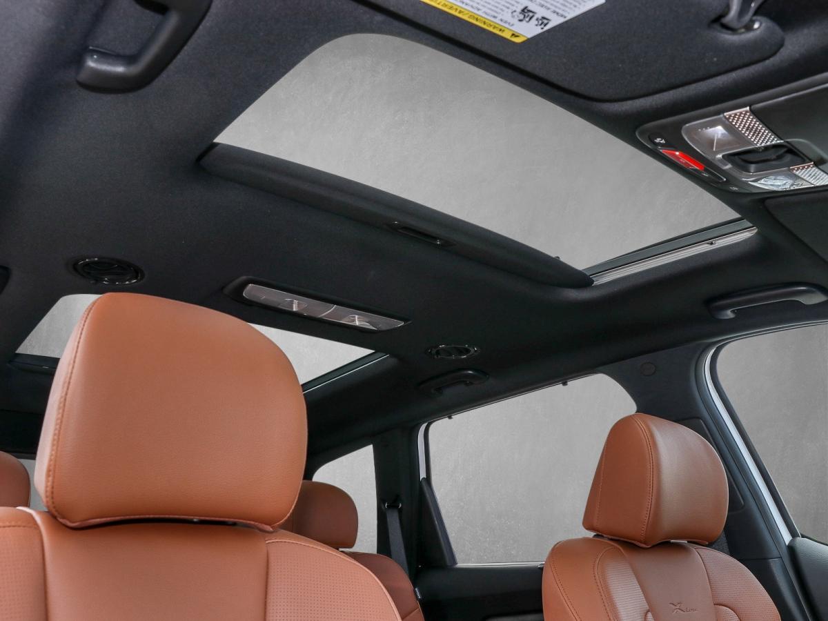 Kia Telluride X Line AHK/Sitzlüftung+heizung/Kamera