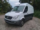 Mercedes-Benz Mercedes Sprinter 313 Hoch und Maxi TÜV Ne... - Mercedes-Benz Sprinter: 313 Maxi