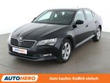 Skoda Superb 1.4 TSI ACT Ambition *NAVI*TEMPO*PDC*SHZ* - Skoda Gebrauchtwagen in Berlin