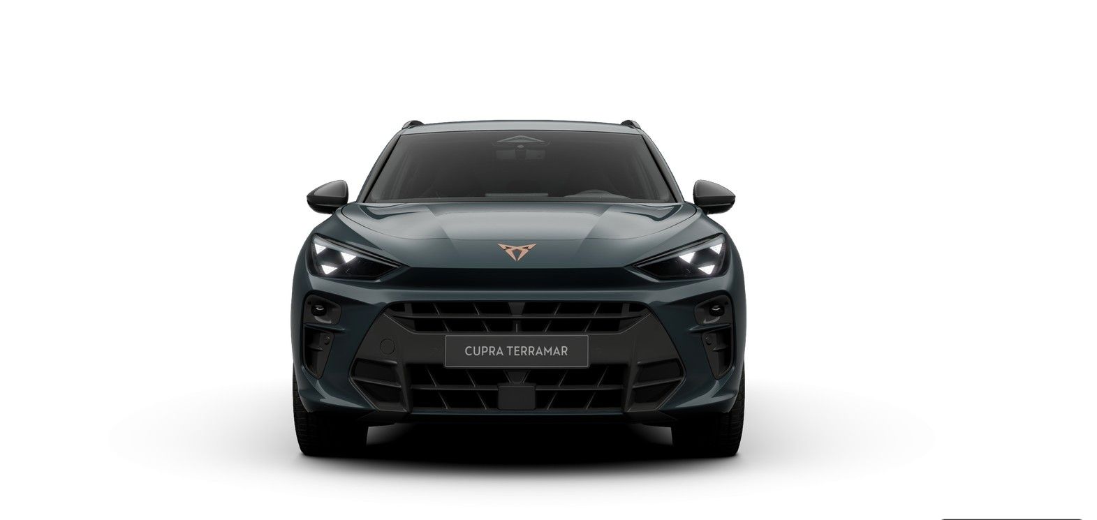 Cupra Terramar - Bild 2