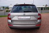 Skoda Octavia Combi 1.4 TSI DSG AAC Navi SHZ NSW - Skoda Octavia: Combi Dsg