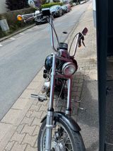 Harley-Davidson FXST Softtail für Liebhaber - HARLEY-DAVIDSON 1989
