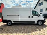 Fiat Ducato 2.3 160 PS Kühlwagen TK -28°  78tkm - Offers