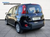 Fiat Panda 1.0 Base Klima PDC Allwetter - Fiat Panda aus 2025