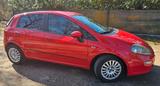 Fiat Punto 1.3 Multijet (Euro 5 Diesel) - Fiat Punto in Mainz