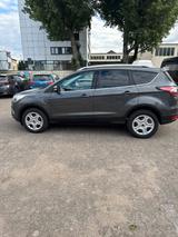 Andere Ford kuga 1,5 - Andere in Köln