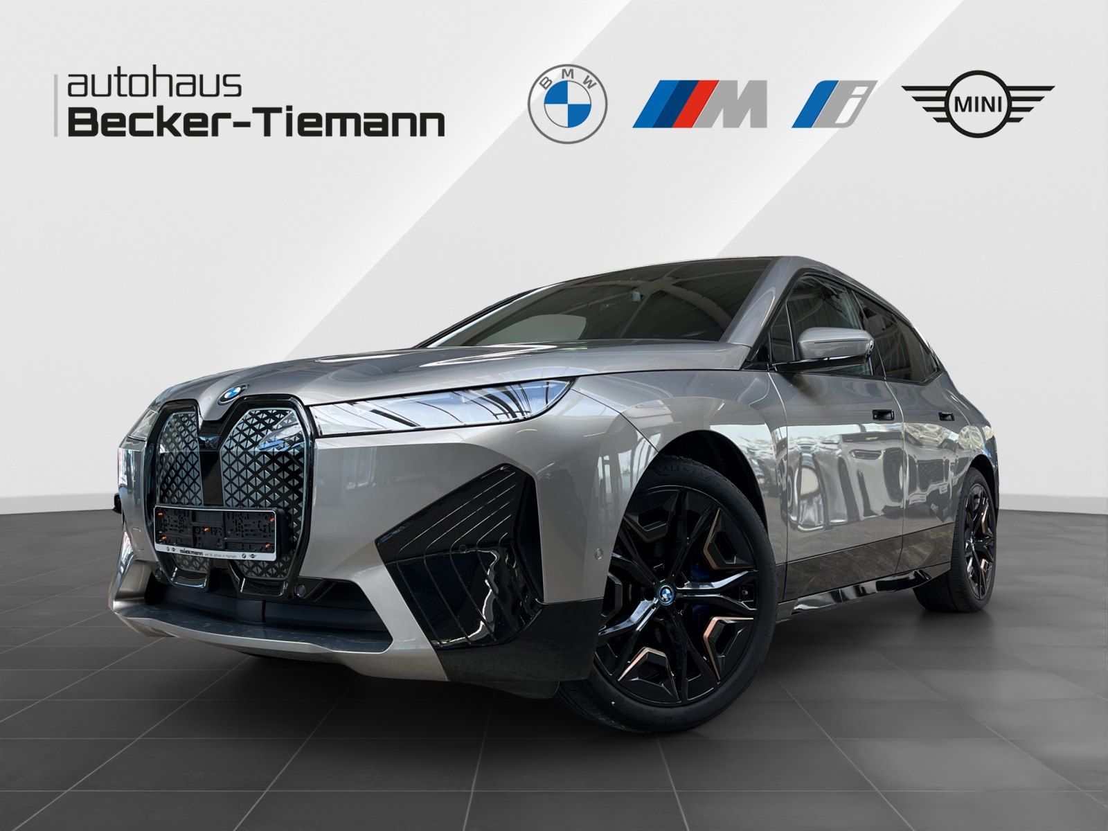 BMW iX xDrive40 Edition Excellence/Sportpaket/Clear&amp;
