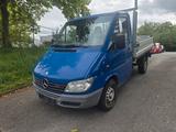 Mercedes-Benz Sprinter Pritsche 313 CDI - Mercedes-Benz Sprinter mit Diesel-Antrieb: Geländewagen
