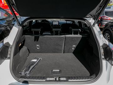 Ford Puma 1.0 Titanium X Fahrassistenz-Paket Kamera