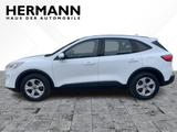 Ford Kuga 1.5 EcoBoost Cool & Connect AHK*LED*NAVI*LM - Ford Kuga aus 2023
