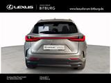 Lexus NX 450 h+ E-Four Business Line 15 Jahre Lexus Re - silberne Lexus NX 450h