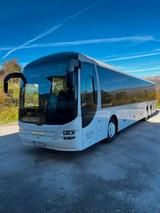 MAN LIONS REGIO L - MAN Lions regio