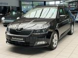 Skoda Fabia Combi 1.2 TSI Joy Green tec - Skoda Fabia Gebrauchtwagen in Dresden